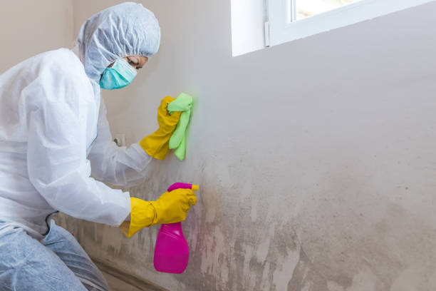 Best Mold Remediation for Healthcare Facilities  in Cheverly, MD